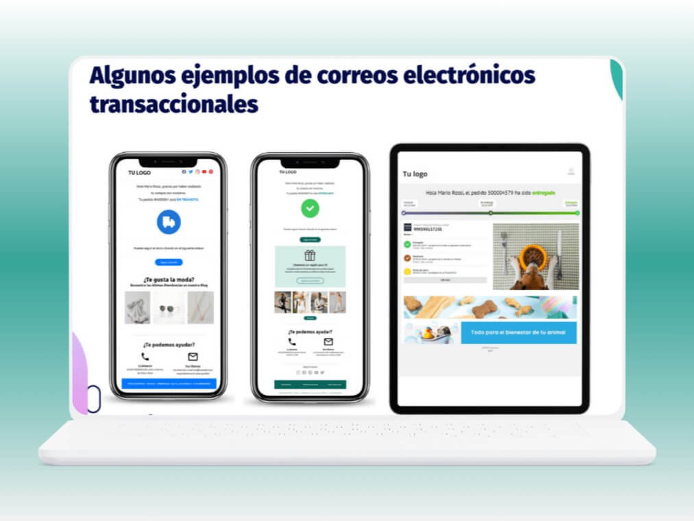 E-commerce pakketverzending voor het MKB EBEP Express DUTCH